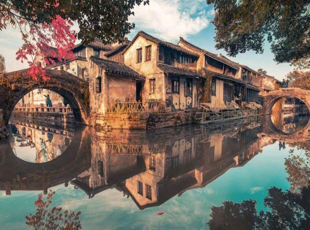可爱兔子营救